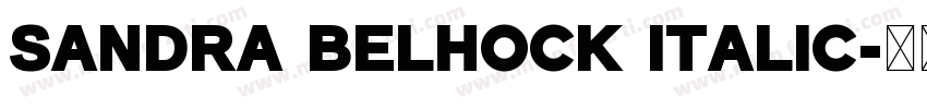 Sandra Belhock Italic字体转换